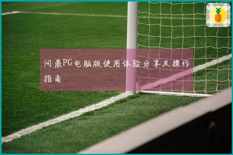 问鼎PG电脑版使用体验分享及操作指南