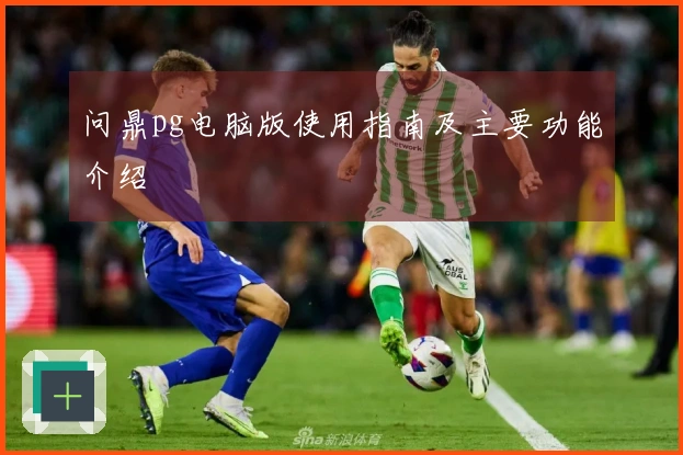 问鼎pg电脑版使用指南及主要功能介绍