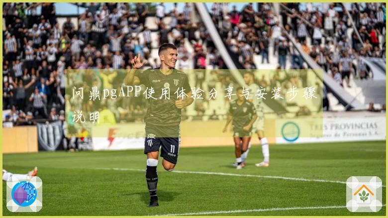 问鼎pgAPP使用体验分享与安装步骤说明
