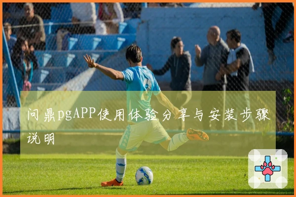 问鼎pgAPP使用体验分享与安装步骤说明