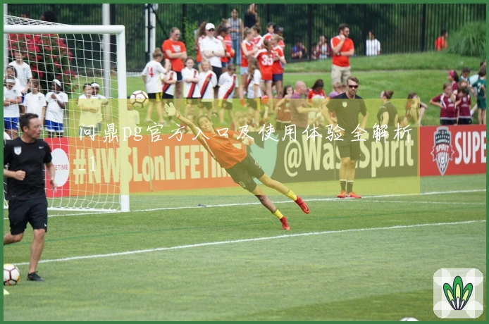 问鼎pg官方入口及使用体验全解析_1